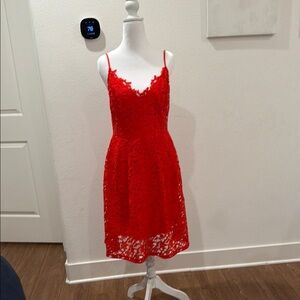 Chic Scarlet Lace Mini Dress